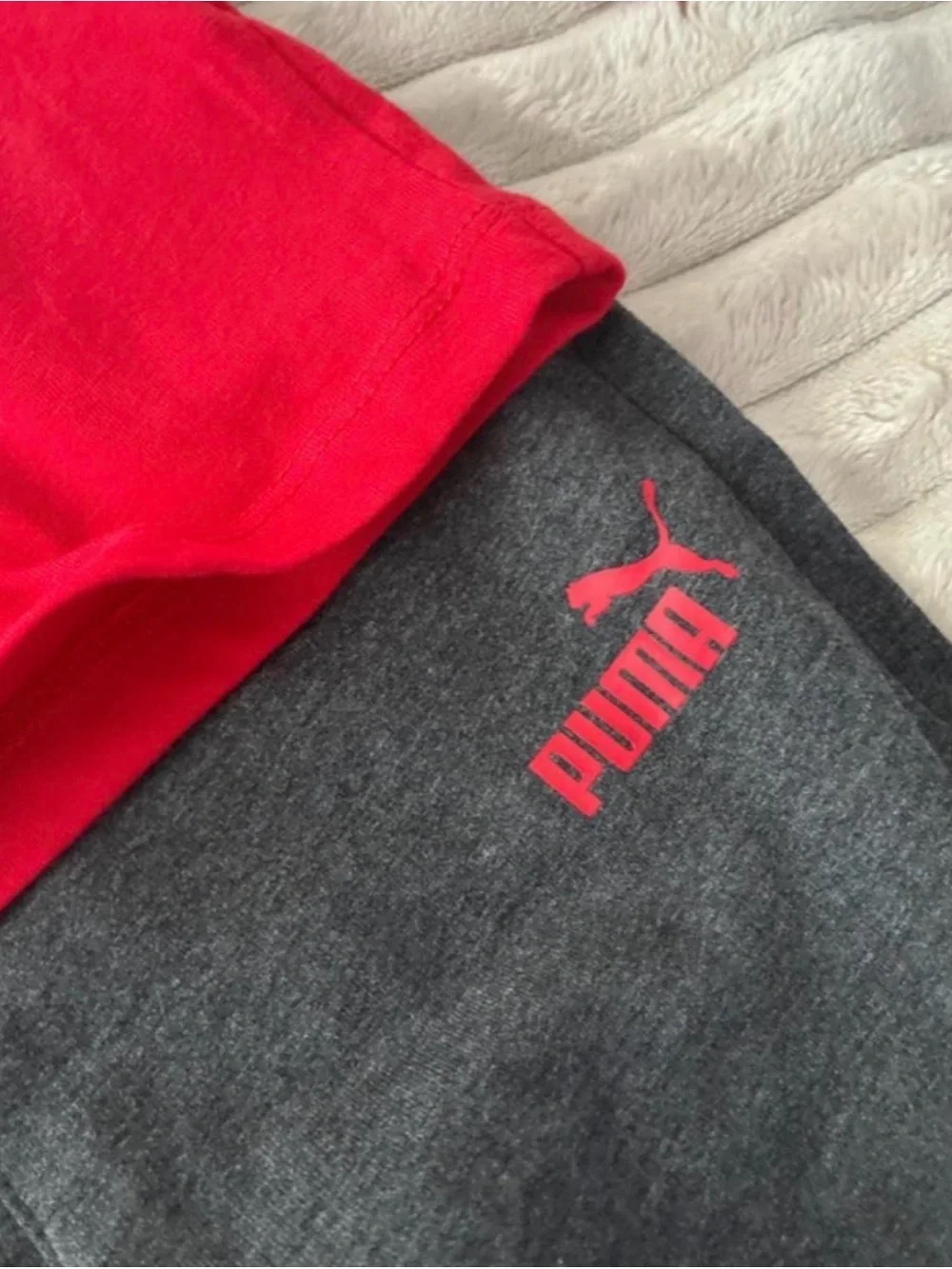 Puma Kids Red Long-Sleeve Top with Dark Gray Joggers Set